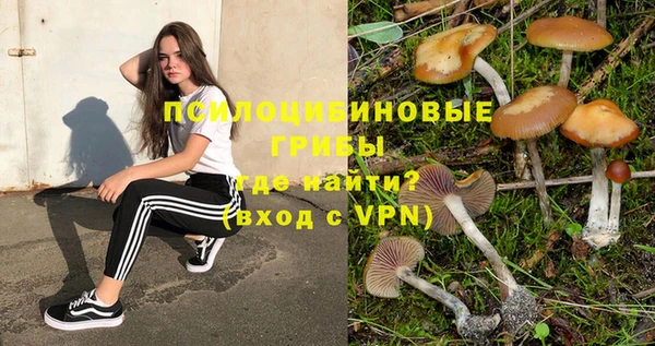 MESCALINE Белокуриха
