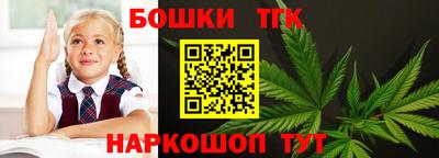 apvp Гатчина