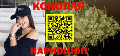 apvp Гатчина
