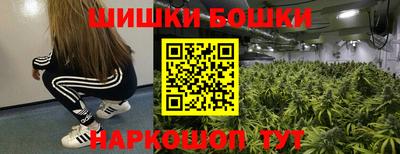 apvp Гатчина