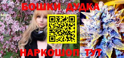 apvp Гатчина