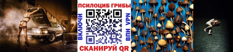 где купить наркотик Бутурлиновка Псилоцибиновые грибы GOLDEN TEACHER