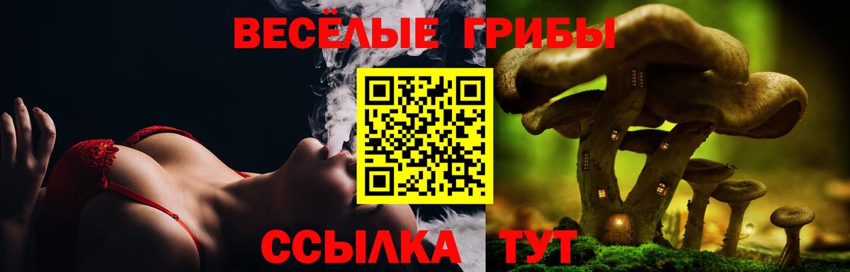 Бутурлиновка  Галлюциногенные грибы мухоморы  цена   Вход с VPN  Псилоцибиновые грибы мухоморы 
